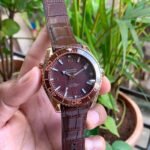 Omega Seamaster Planet Ocean 600M Brown First Copy Watch